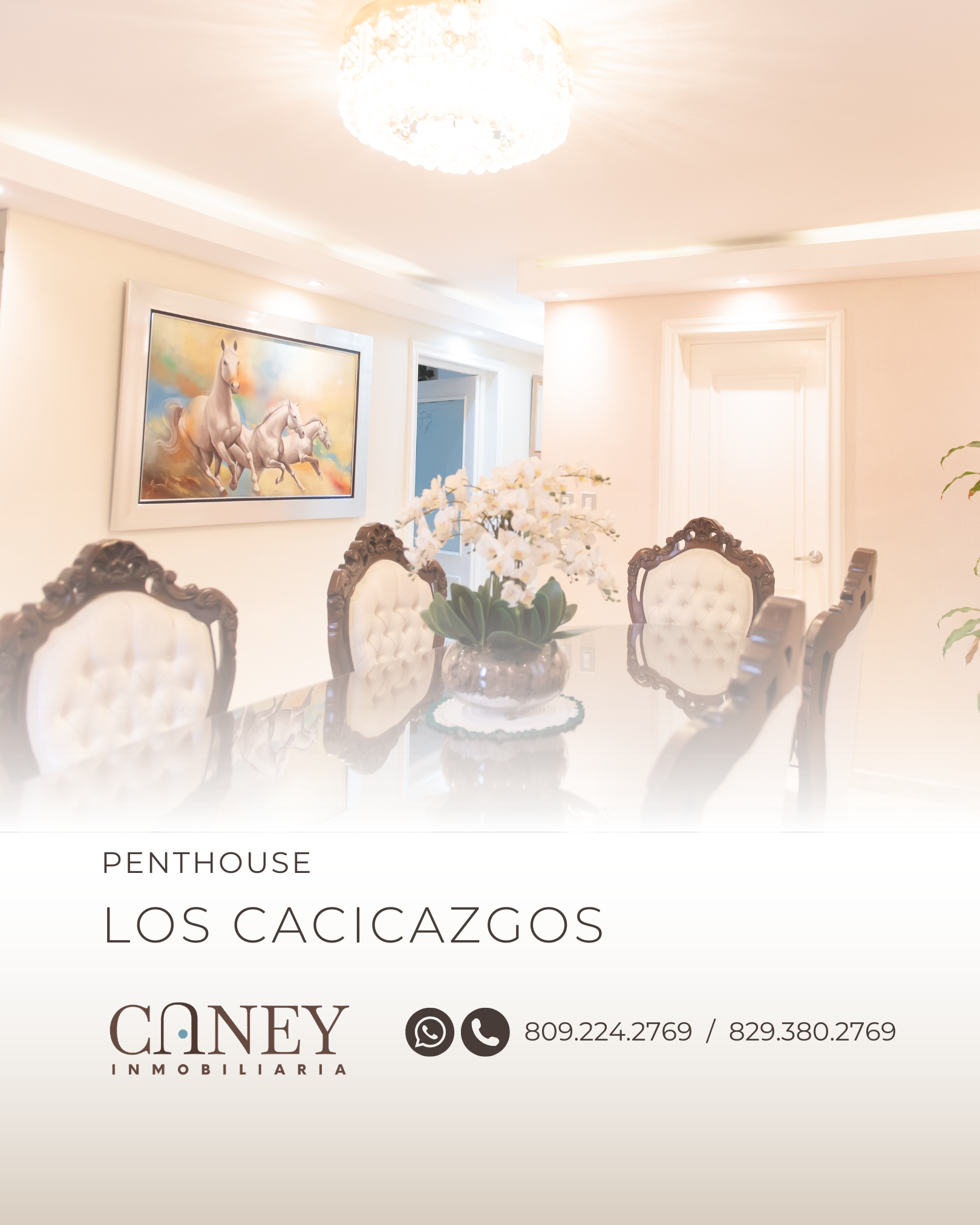 Vista 6 de Penthouse remodelado en venta en Los Cacicazgos