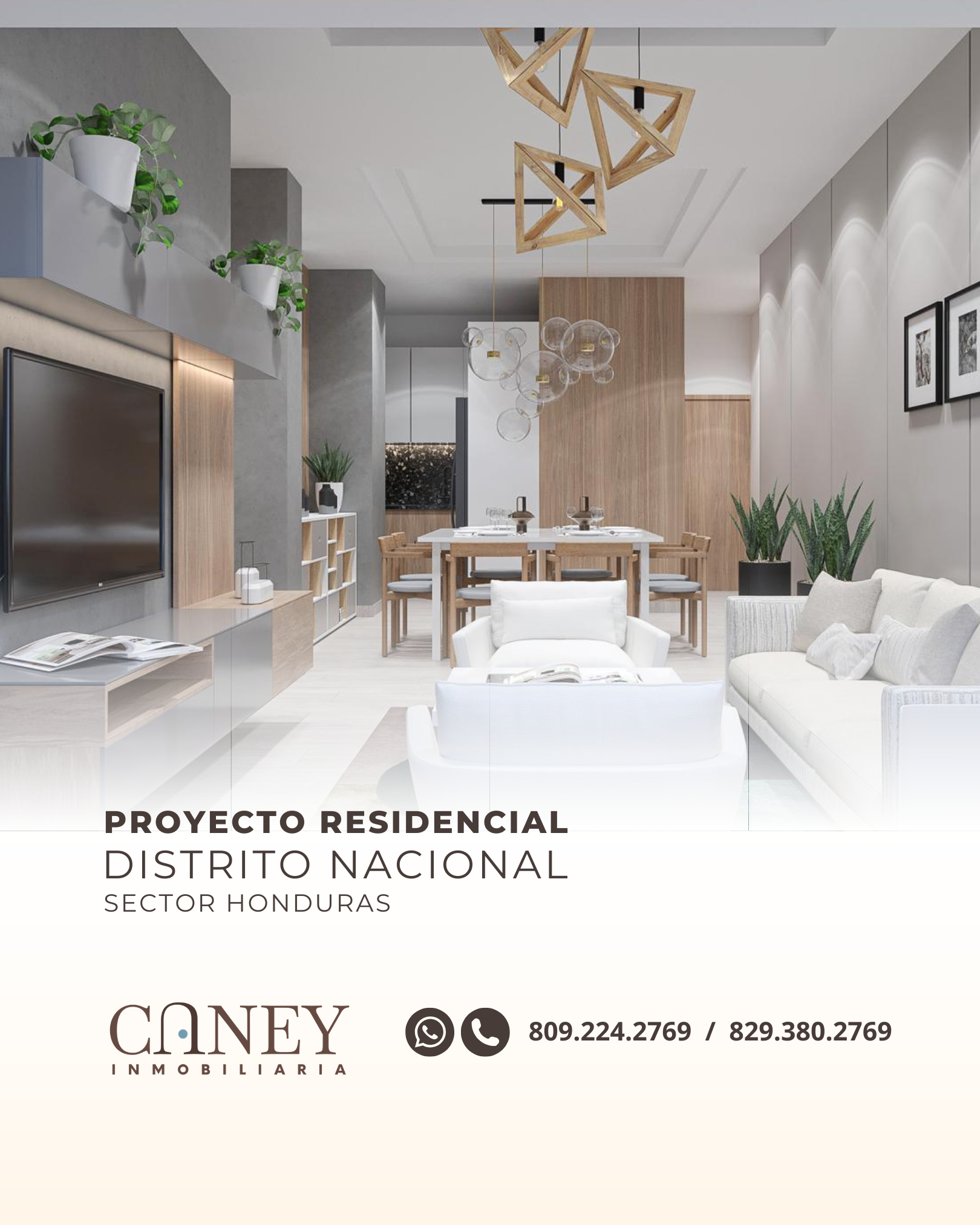Vista 5 de Proyecto residencial en Sector Honduras
