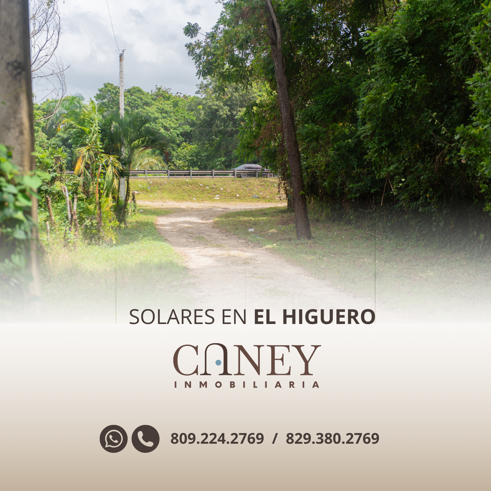 Vista 2 de Solares - El Higuero