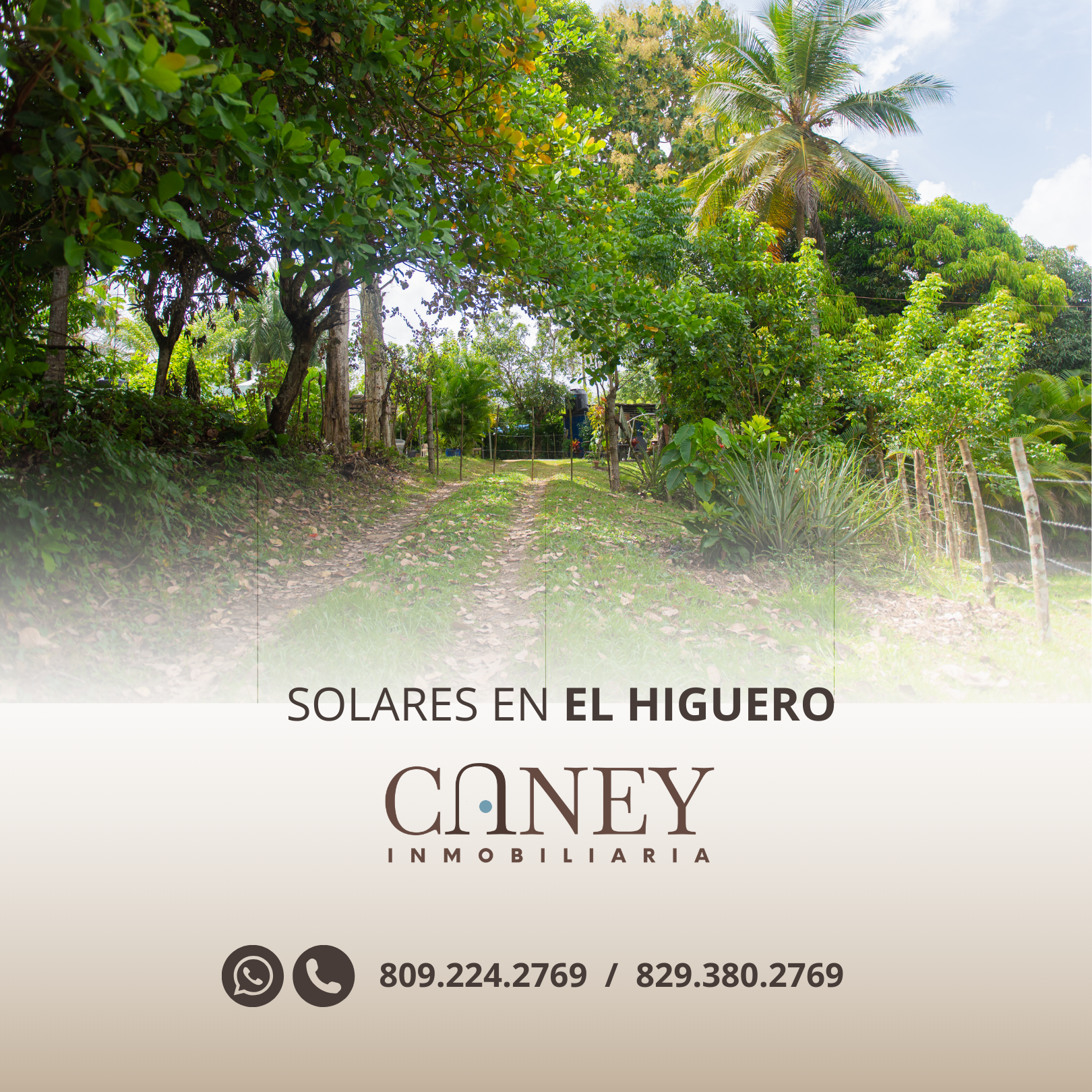 Vista 3 de Solares - El Higuero
