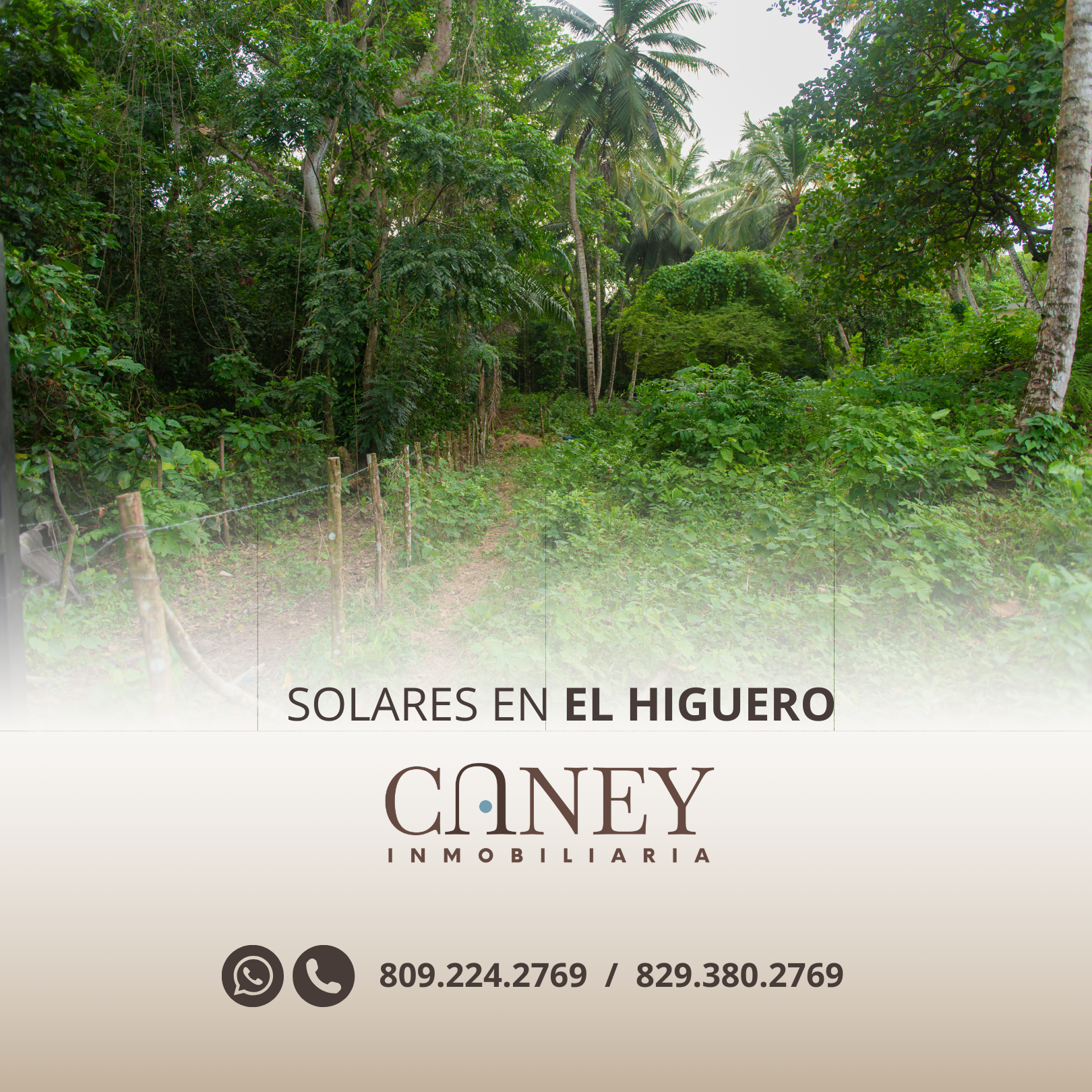 Vista 4 de Solares - El Higuero