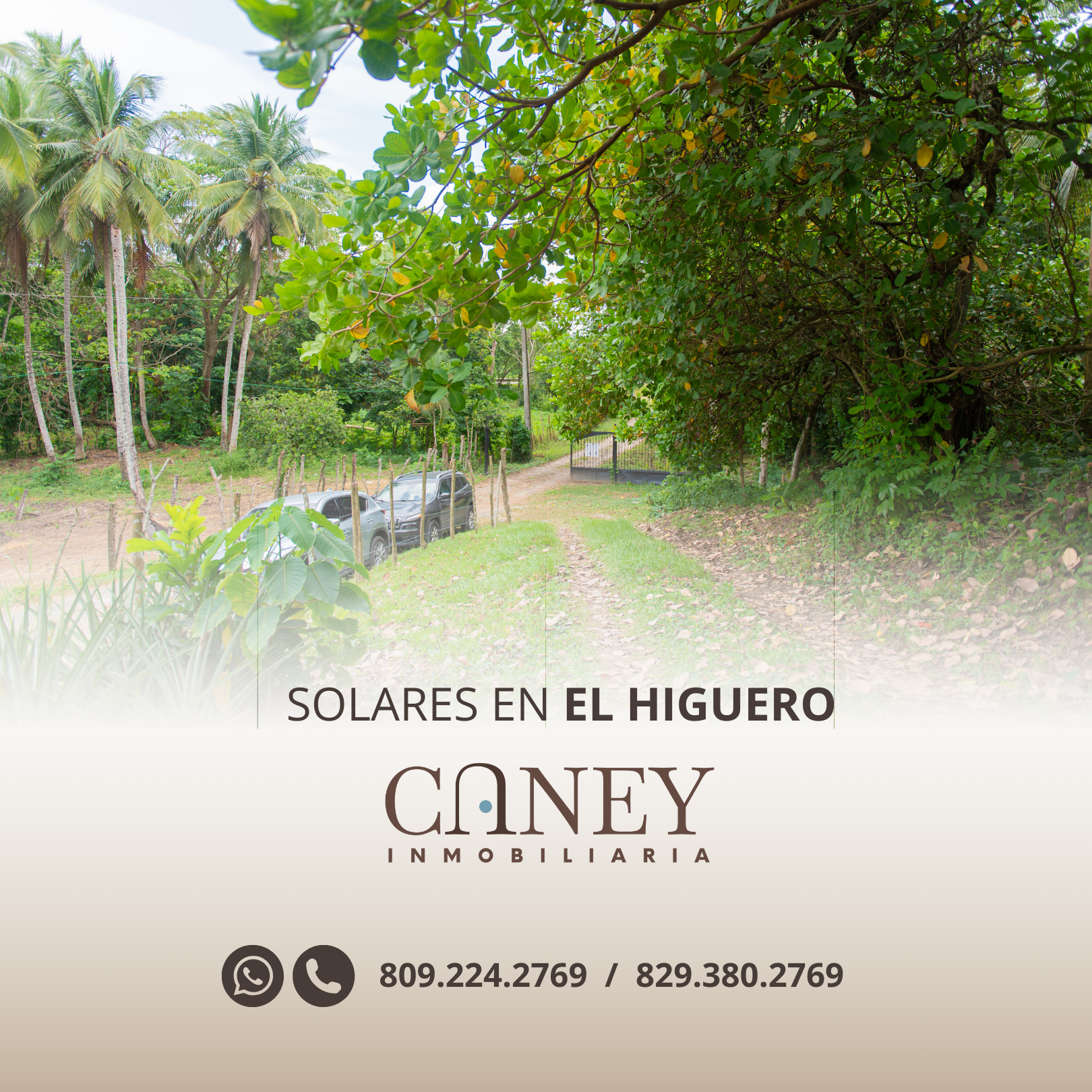 Vista 5 de Solares - El Higuero
