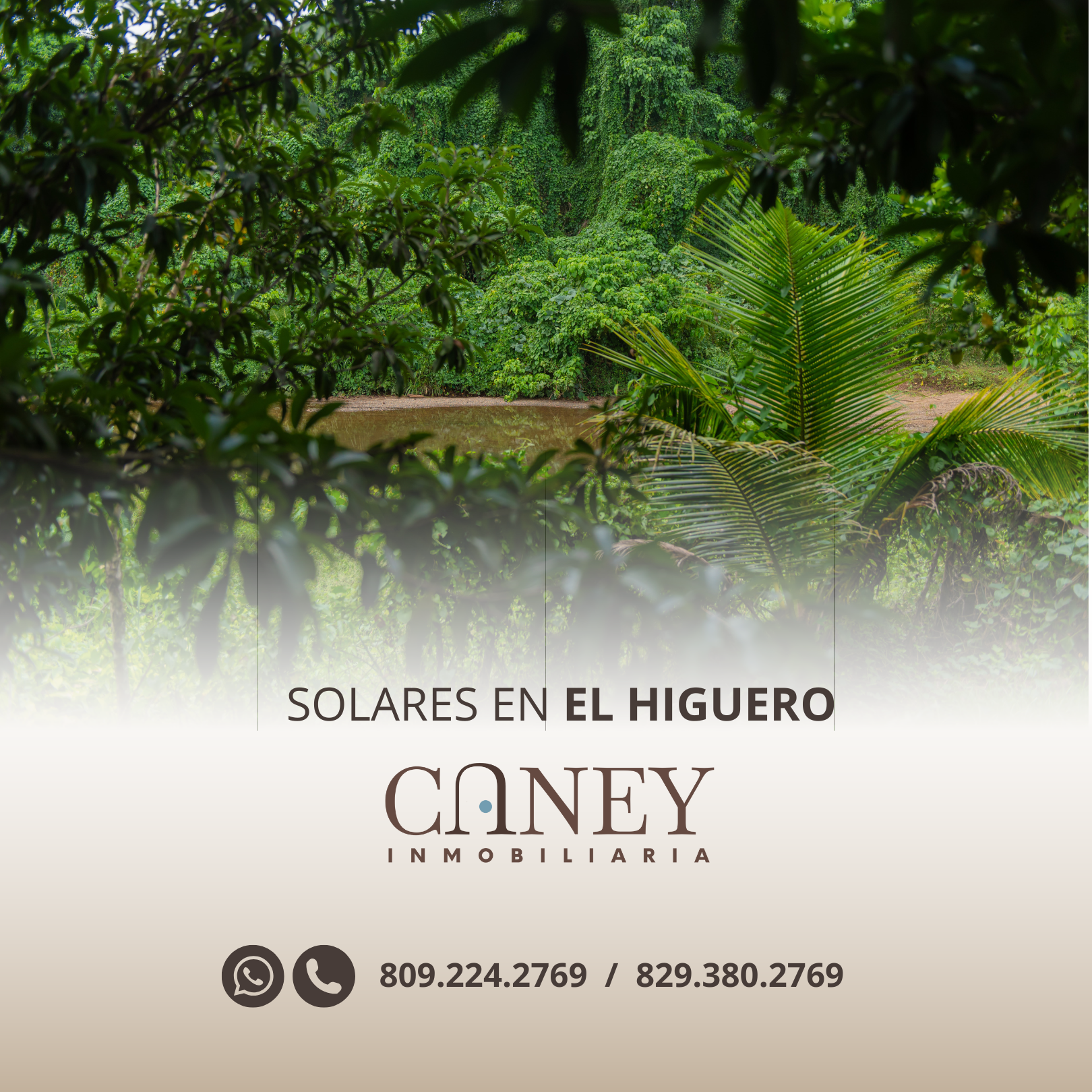 Vista 6 de Solares - El Higuero